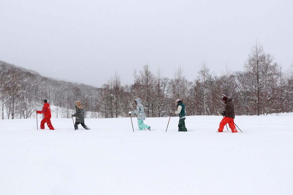 niseko snow tour