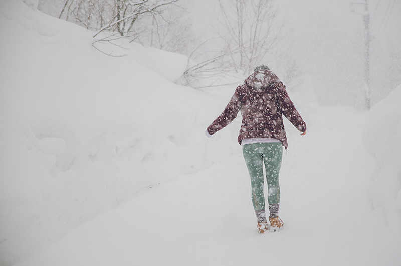 niseko united snowfall