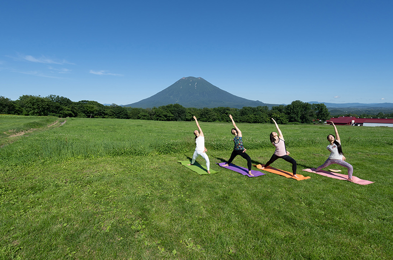 niseko yoga fest