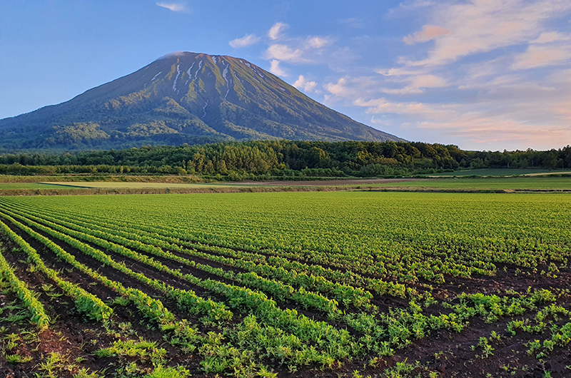 hiking mt yotei niseko japan