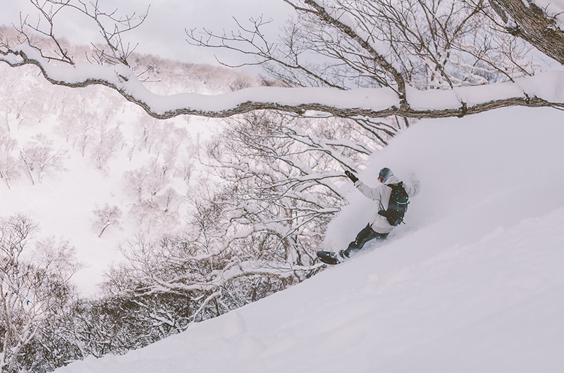 niseko united powder snowboarder