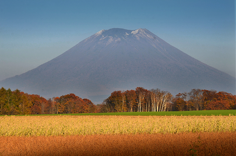 autumn in niseko mt yotei