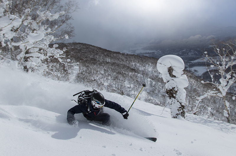 niseko village powder skiing