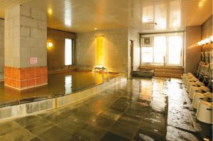 hotel niseko alpen hirafu onsen hot spring