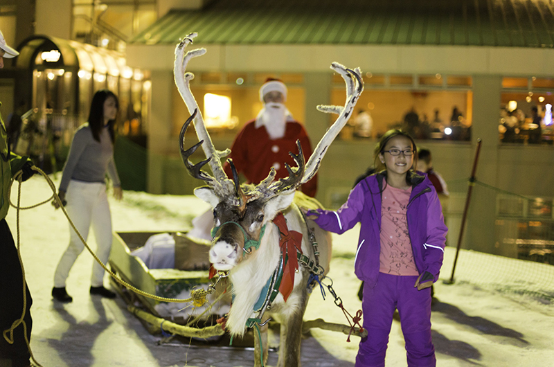 niseko-village-reindeer-christmas