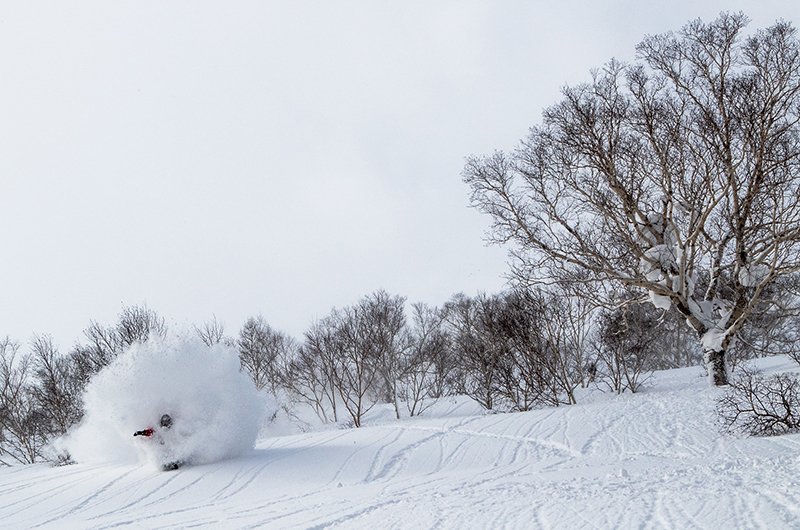 niseko united deep powder snowboarding