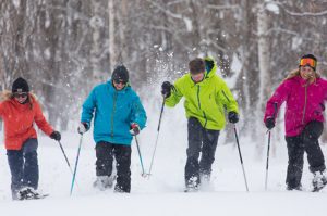 niseko village snowshoe tour