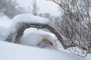 niseko japan deep powder skiing