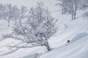 niseko japan nordica skis