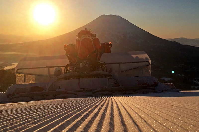 niseko united sunrise grooming cat