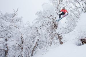 Stellar Media Niseko Japan Powder snowboarding