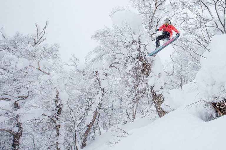 stellarmedianisekojapandeeppowdersnowboarding Niseko United