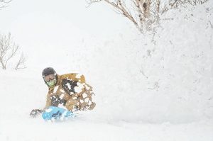 evan wilcox snowboarding niseko japan powder