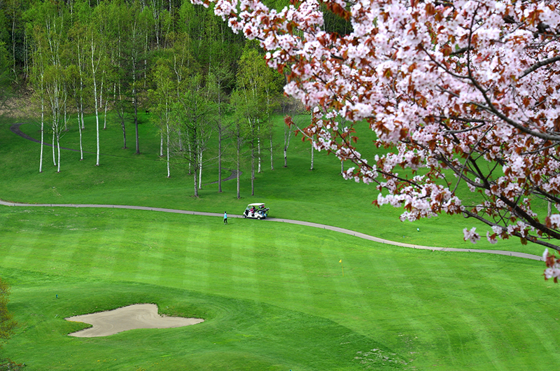 niseko japan golf sakura spring