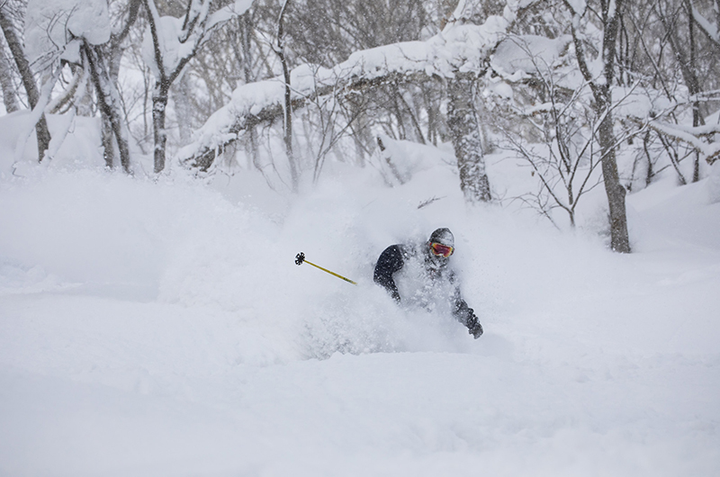 niseko village powder skiing