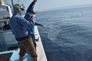 Hanazono Niseko ocean fishing charter