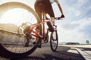 niseko hanazono cycling mountain biking