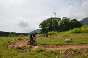niseko hirafu mountain bike flow trail