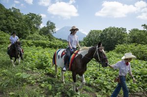 niseko village horseback riding