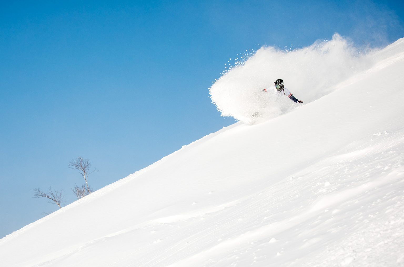“How’s the snow?” February 2023 conditions in Niseko Niseko United