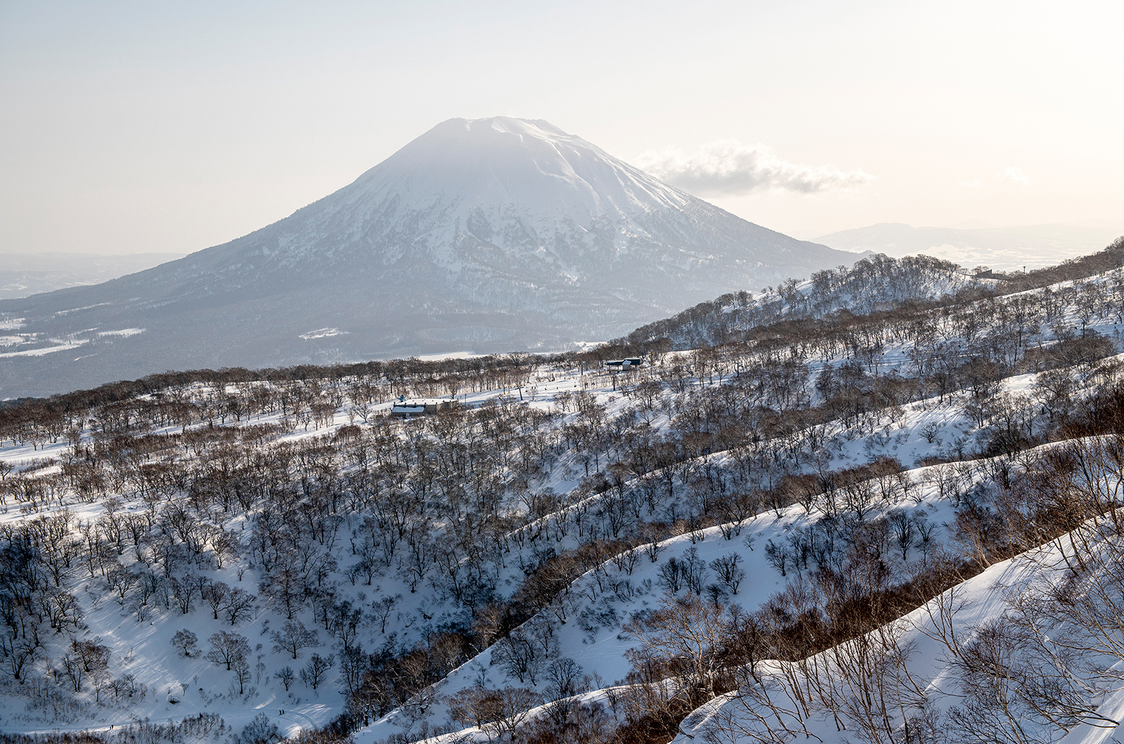 Why does it snow so much in Niseko?の画像