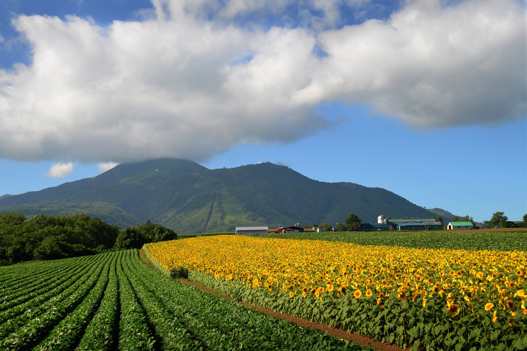 Why Summer Might Just Be Better Than Winterの画像