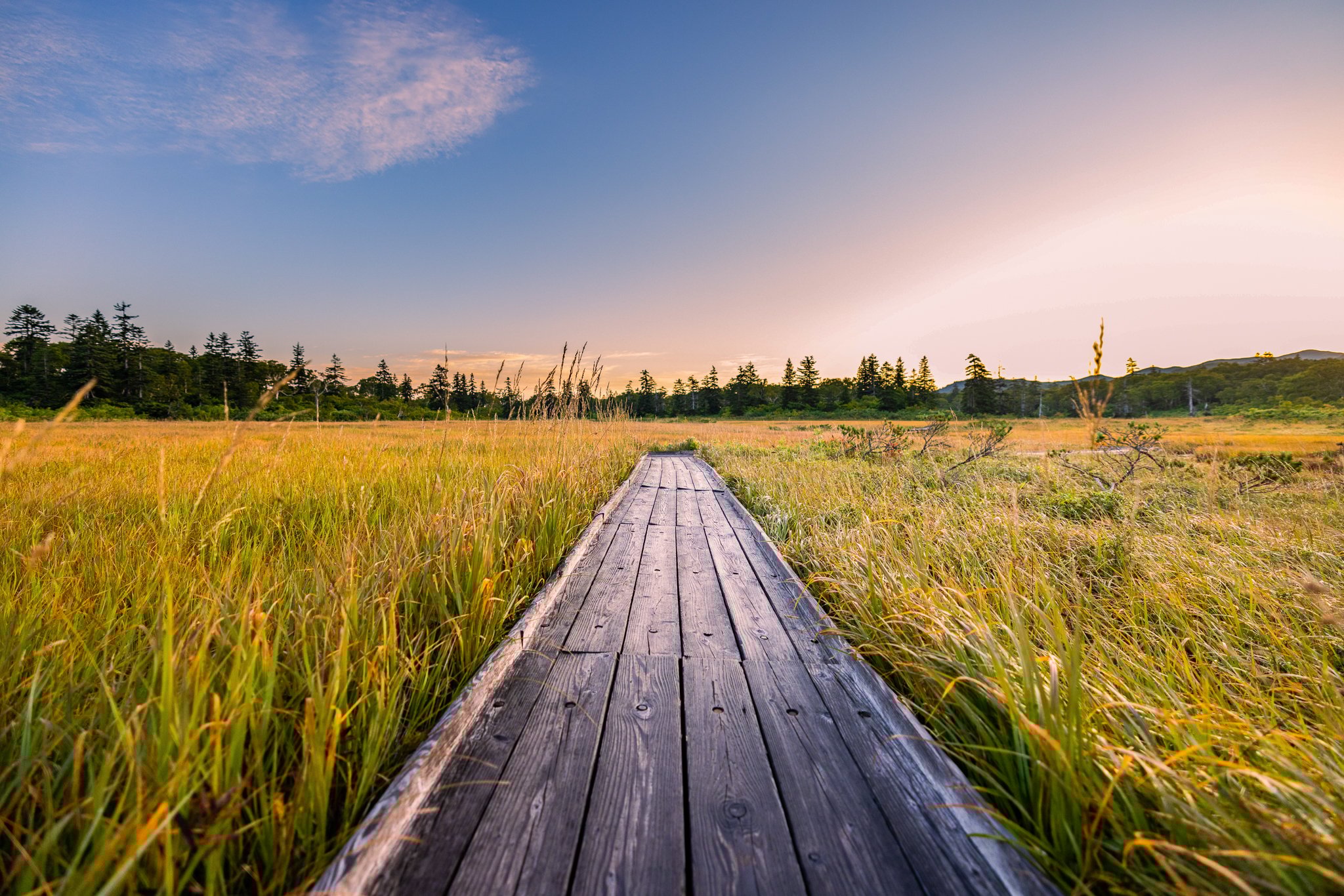 Discover Autumn Wonders Around Nisekoの画像