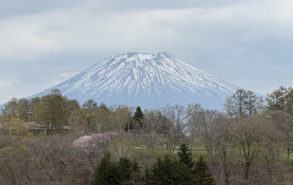 Niseko’s Late Spring: Ski Until May 6th, Enjoy Cherry Blossoms, And Moreの画像