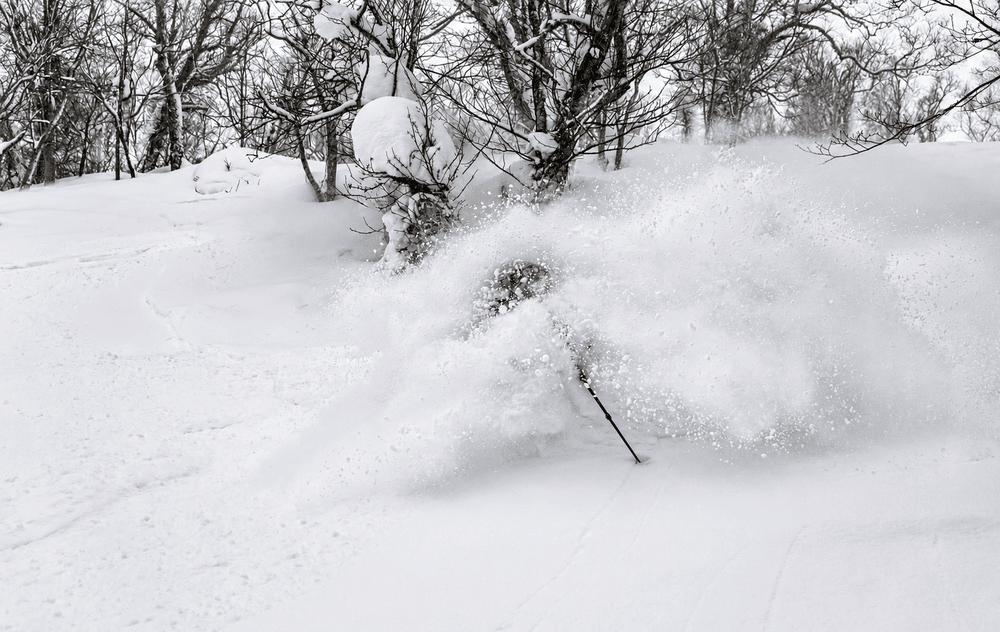 この冬、ニセコにはどれくらい雪が降った？の画像